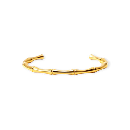 CloveJewels™ Trending Bangles